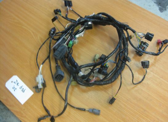Wire Harness Kawasaki ZX 6 R