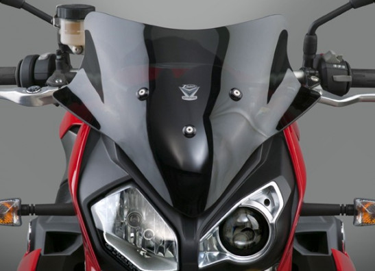 Wind screen BMW S 1000 R