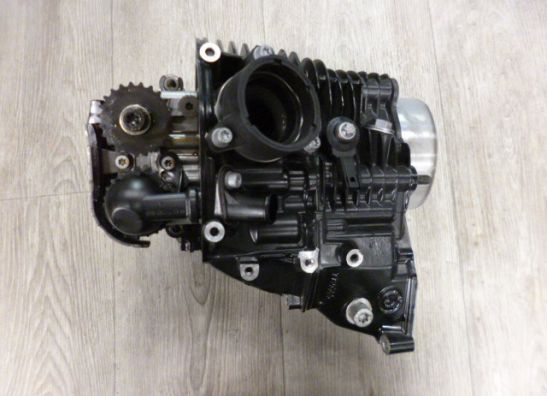 Cilinderblok BMW R Nine T