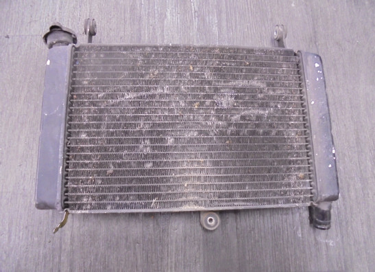 Radiateur Yamaha FZR 600