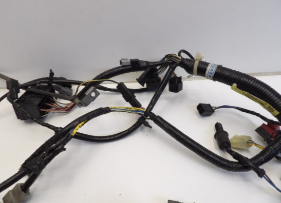 Wire Harness Kawasaki ER 5