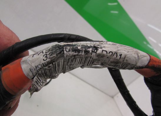 Wire Harness Honda CBF 600