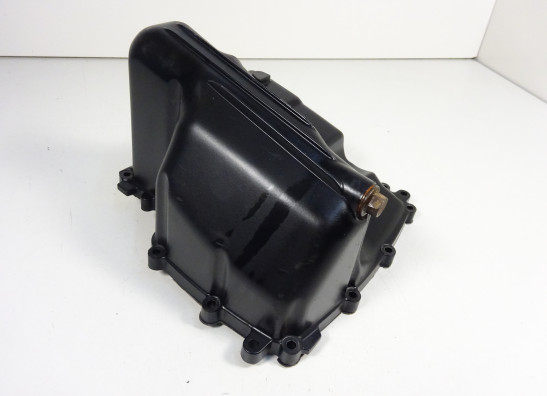 Carterpan Triumph Street Triple 675