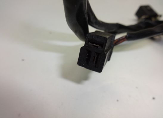 Dynamo Kawasaki ZZR 250