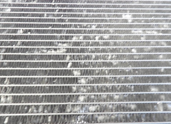 Radiateur Yamaha FZR 1000