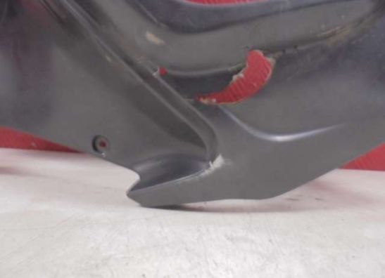 Cowl right BMW R 1200 RT