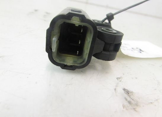 Relais Yamaha YZF R1