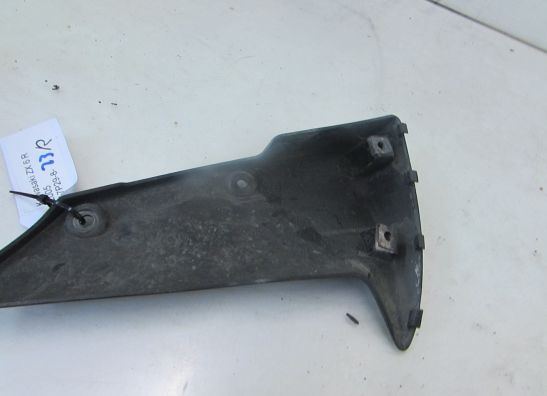 Voorspatbord Kawasaki ZX 6 R