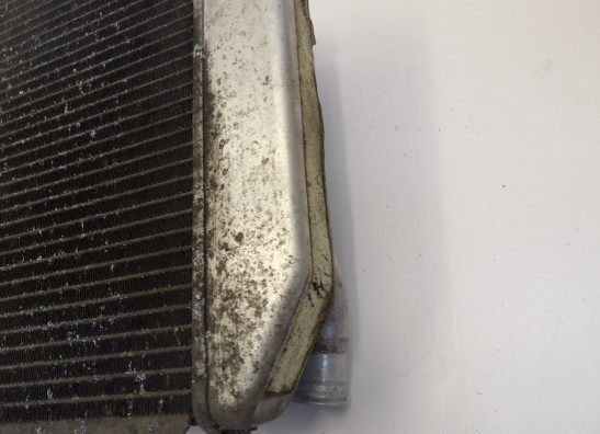 Radiator Kawasaki Z 1000 Sx