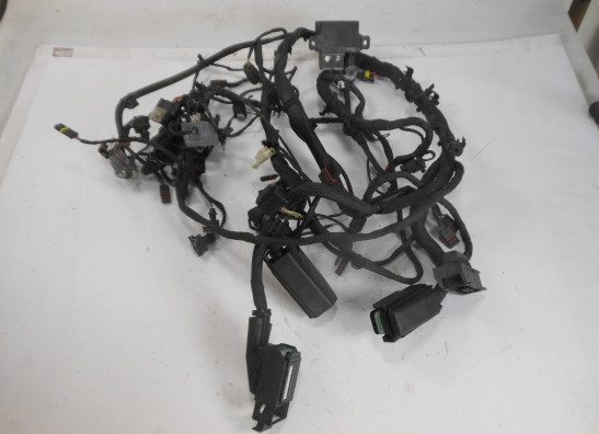 Wire Harness BMW F 800 S - ST