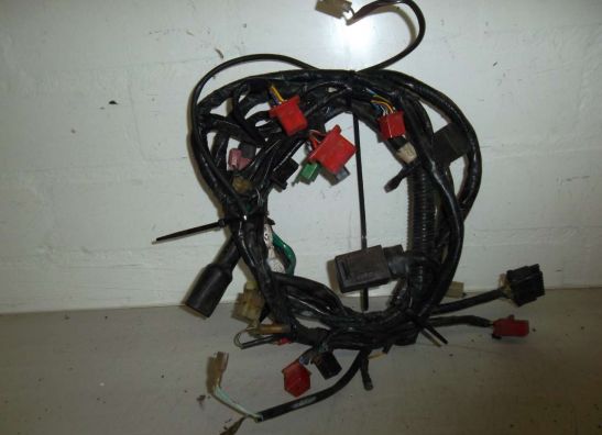 Wire Harness Honda CBR 1000 F