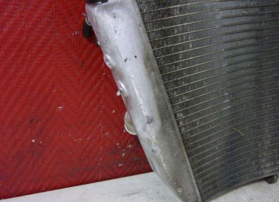 Radiator Suzuki GSX R 600