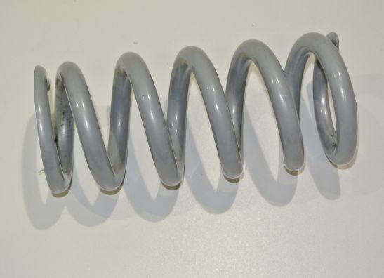 Stossdampfer hinten BMW R 1150 R