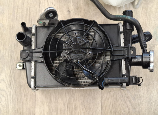 Radiateur BMW R 1200 GS LC