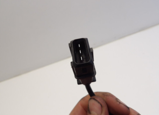 Motorblok diverse Ducati Scrambler Desert Sled