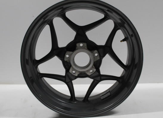 Achtervelg BMW K 1300 R