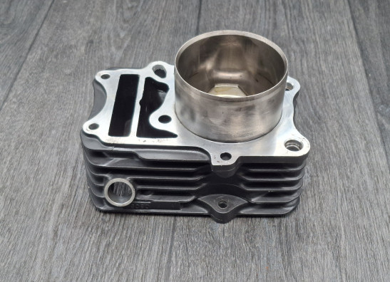 Cilinderblok Kawasaki VN 800