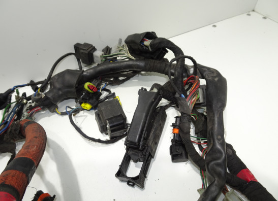 Kabelboom Aprilia Tuono 1000