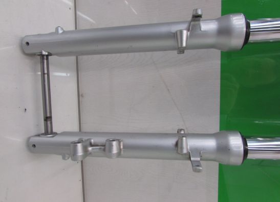 Voorpoten compleet Kawasaki ZZR 250