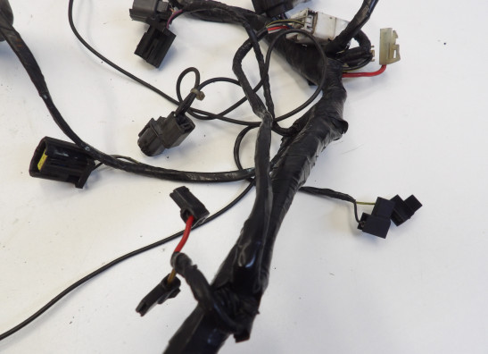 Kabelboom Triumph Thunderbird 900