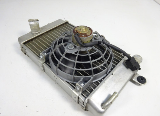 Kuhler Aprilia RSV 1000