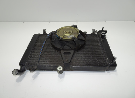 Radiator Yamaha YZF 600 Thundercat