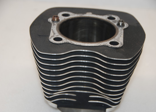 Cilinderblok Harley Davidson Softtail