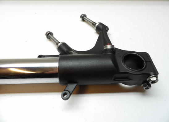 Standrohr Gabelholm links komplett Honda CBR Fireblade