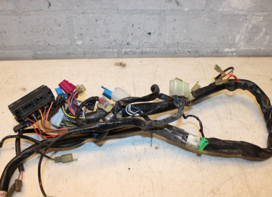 Kabelboom Yamaha FAZER 600