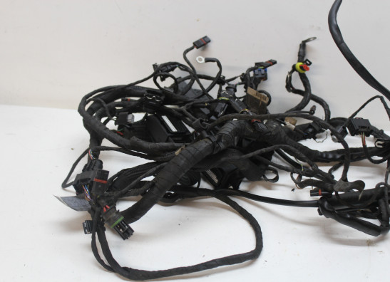 Kabelboom BMW F 800 S - ST