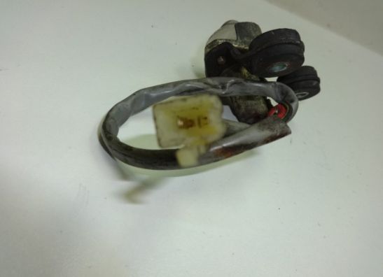 Kennzeichenhalter Kawasaki ZZR 600