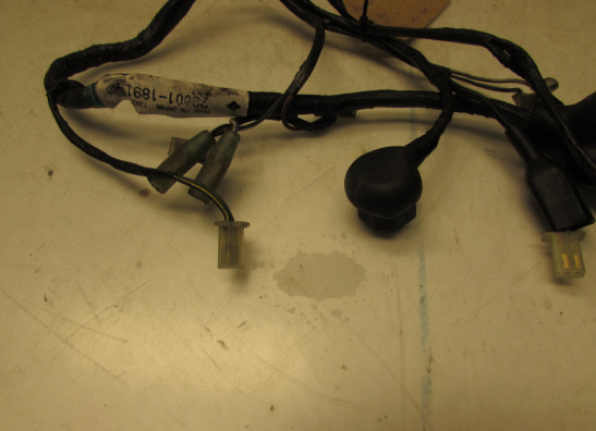 Wire harness front Kawasaki GTR 1000