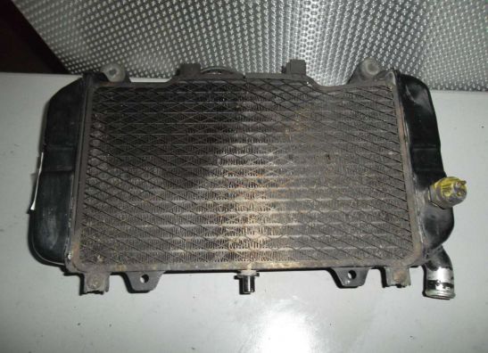 Radiateur Kawasaki ZZR 600