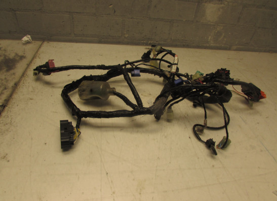 Kabelbaum Honda CBF 500