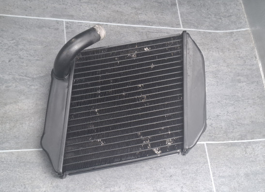 Radiateur Buell 1125 R