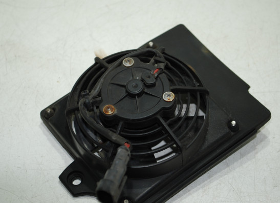 Ventilator Cagiva Raptor 650