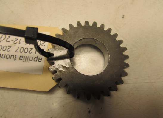 Motorblok diverse Aprilia Tuono 1000