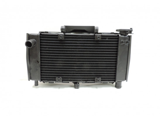 Radiator Yamaha FZ6