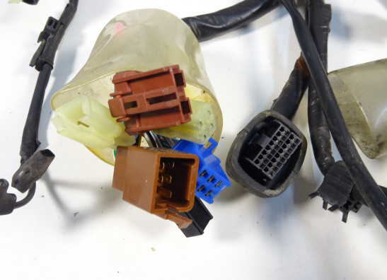 Kabelboom Honda CBF 600