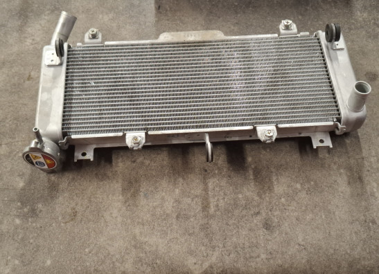 Radiateur Kawasaki Ninja 650