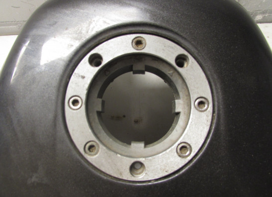 Tankschutz Yamaha FZR 600