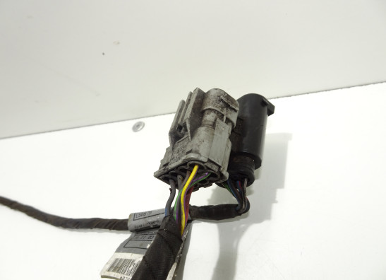 Kabelbaum vorne BMW F 650 GS