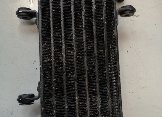 Oliekoeler Aprilia RSV 1000