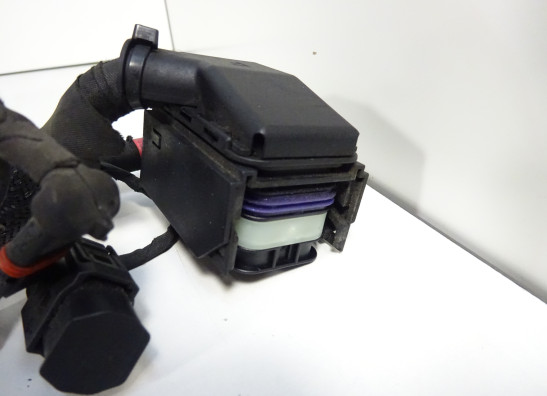 Kabelboom BMW F 650 GS