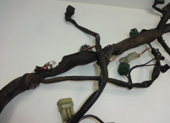 Wire Harness Suzuki DL 1000 V STROM