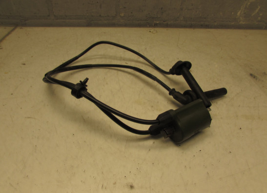 Bobine Honda Silverwing