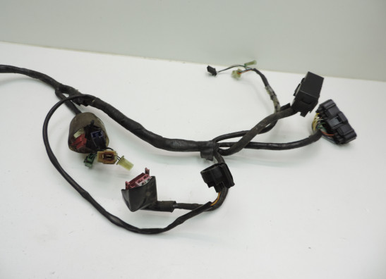 Kabelboom Honda CB 600 F