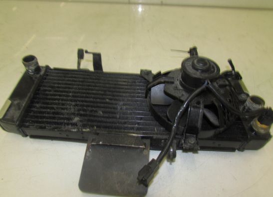 Radiateur Suzuki GSF 600 650 Bandit 