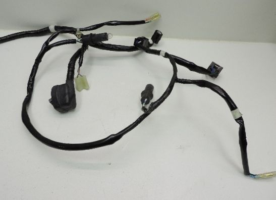 Kabelboom Honda CBR 125 R