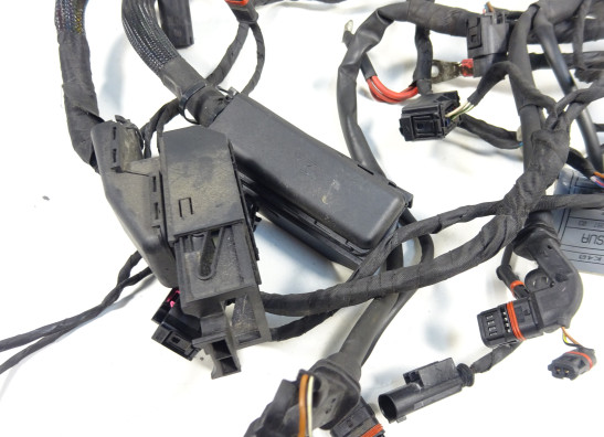 Kabelboom BMW K 1200 S 